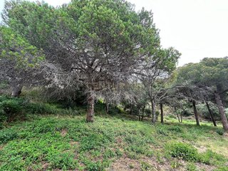 Terreno en venta en Can Quirze en Mataró