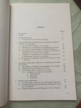 Proteccion infancia Derecho Internacional Cruz Roj