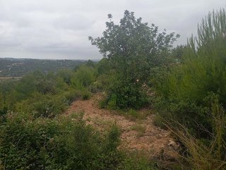 Terreno en venta en Buñol