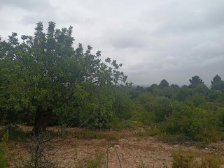 Terreno en venta en Buñol