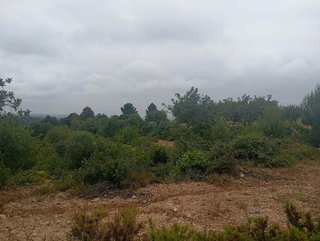 Terreno en venta en Buñol