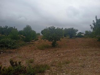 Terreno en venta en Buñol