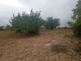 Terreno en venta en Buñol