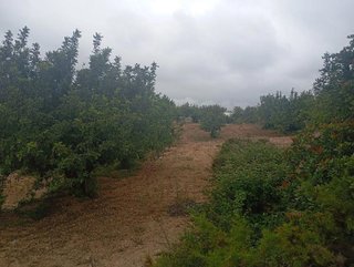 Terreno en venta en Buñol