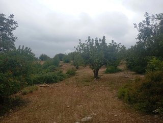 Terreno en venta en Buñol
