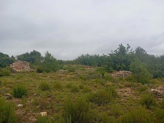 Terreno en venta en Buñol