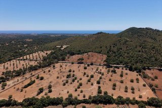 Terreno en venta en Manacor Centro en Manacor