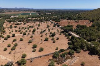Terreno en venta en Manacor Centro en Manacor