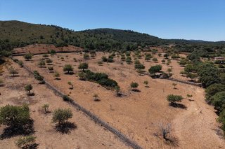Terreno en venta en Manacor Centro en Manacor