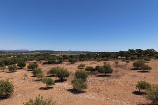 Terreno en venta en Manacor Centro en Manacor
