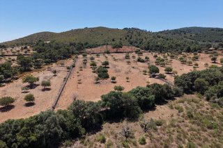 Terreno en venta en Manacor Centro en Manacor