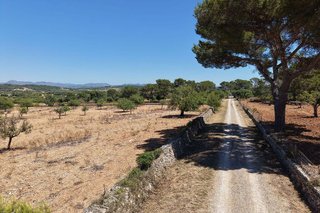 Terreno en venta en Manacor Centro en Manacor
