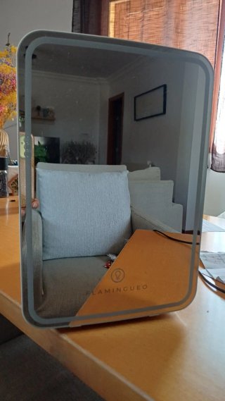 Nevera Portátil Flamingeo 10L