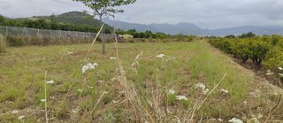Terreno en venta en Pego
