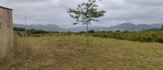 Terreno en venta en Pego