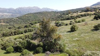 Terreno en venta en Algatocín