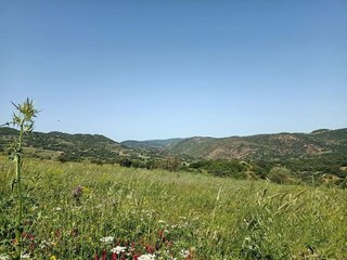 Terreno en venta en Algatocín