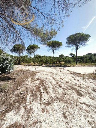 Terreno en venta en Moguer