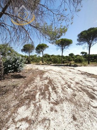 Terreno en venta en Moguer