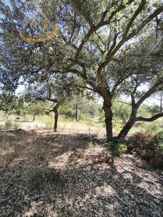 Terreno en venta en Moguer