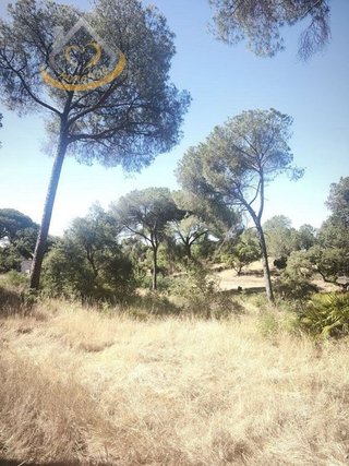 Terreno en venta en Moguer