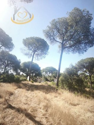 Terreno en venta en Moguer
