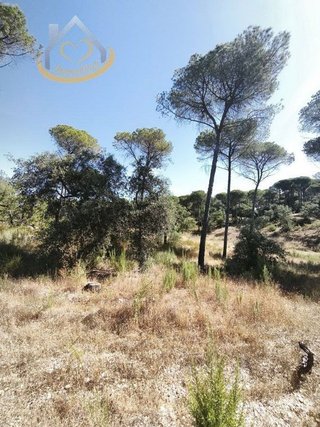 Terreno en venta en Moguer