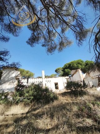 Terreno en venta en Moguer