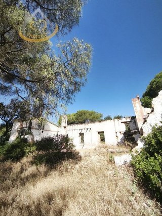 Terreno en venta en Moguer