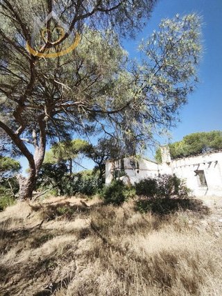 Terreno en venta en Moguer