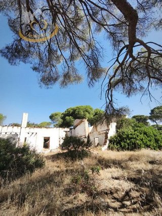 Terreno en venta en Moguer