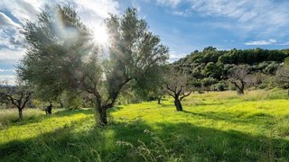 Terreno en venta en Selva
