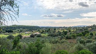 Terreno en venta en Selva