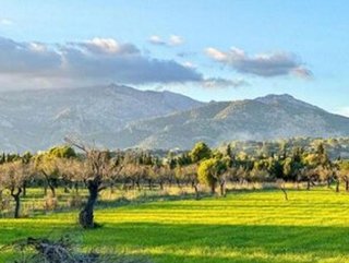 Terreno en venta en Selva