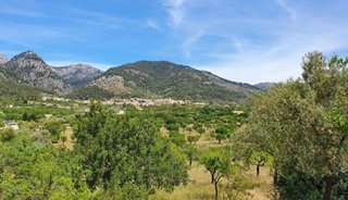 Terreno en venta en Selva