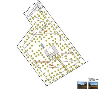 Terreno en venta en Selva