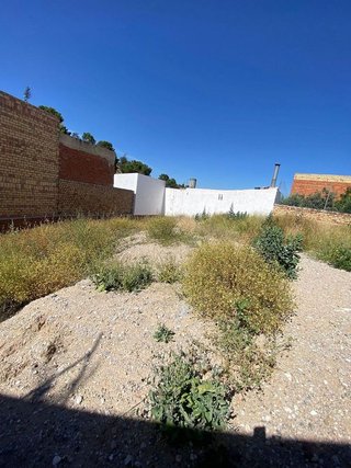 Terreno en venta en Morón de la Frontera