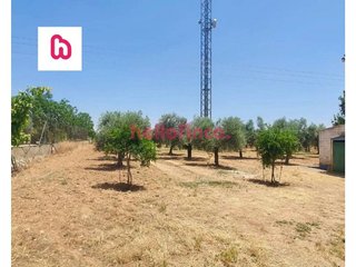 Casa en venta en La Reconquista en Toledo