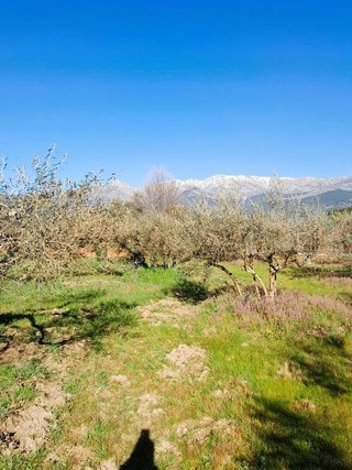 Terreno en venta en Arenas de San Pedro