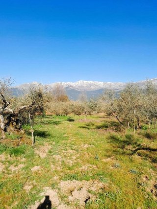 Terreno en venta en Arenas de San Pedro