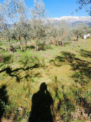 Terreno en venta en Arenas de San Pedro