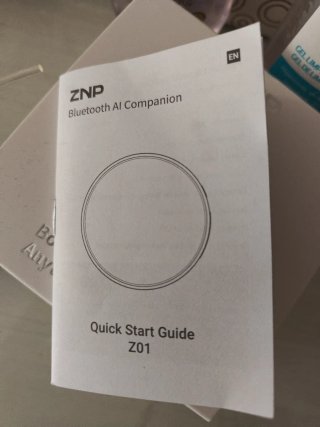 Traductor IA ZNP Z01 Bluetooth