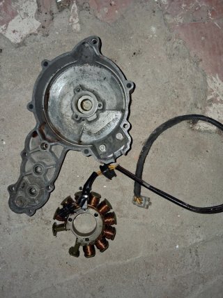 Estator Encendido Gas Gas FSE 400/450