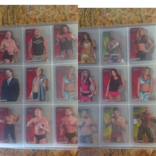 Álbum Cromos WWE Lamincards y Pressing Catch