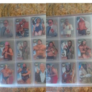Álbum Cromos WWE Lamincards y Pressing Catch