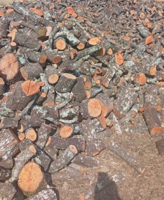 Leña de encina para chimenea o barbacoa