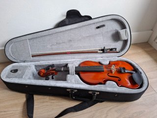 Violín 1/4 Gaudieri con funda rigida y arco