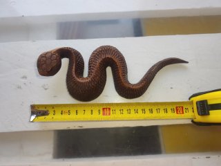 Serpiente de madera tallada