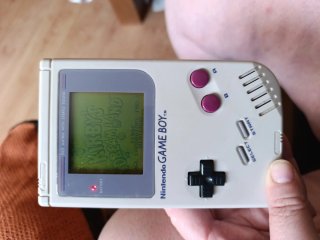 Nintendo Game Boy Classic + 2 Juegos