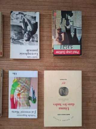Lote 15 libros x 6€ (Francés)